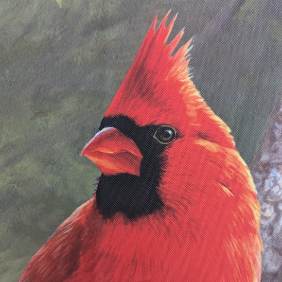 NEW Cardinal 40x28" House Flag Banner STUDIO M Premium Quality Porch Garden Yard - Picture 9 of 14